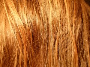 Beauty Care & Cosmetics Conditioning Agents ΑVEL προϊόντα ομορφιάς & καλλυντικά